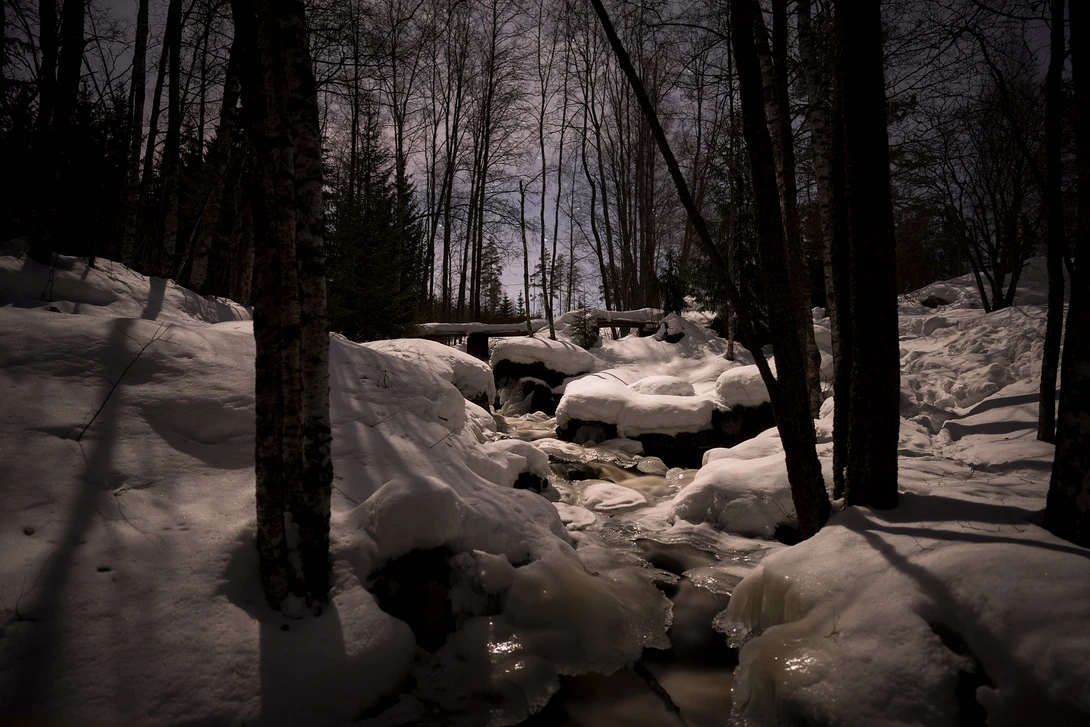 View Moonlight by Petteri .