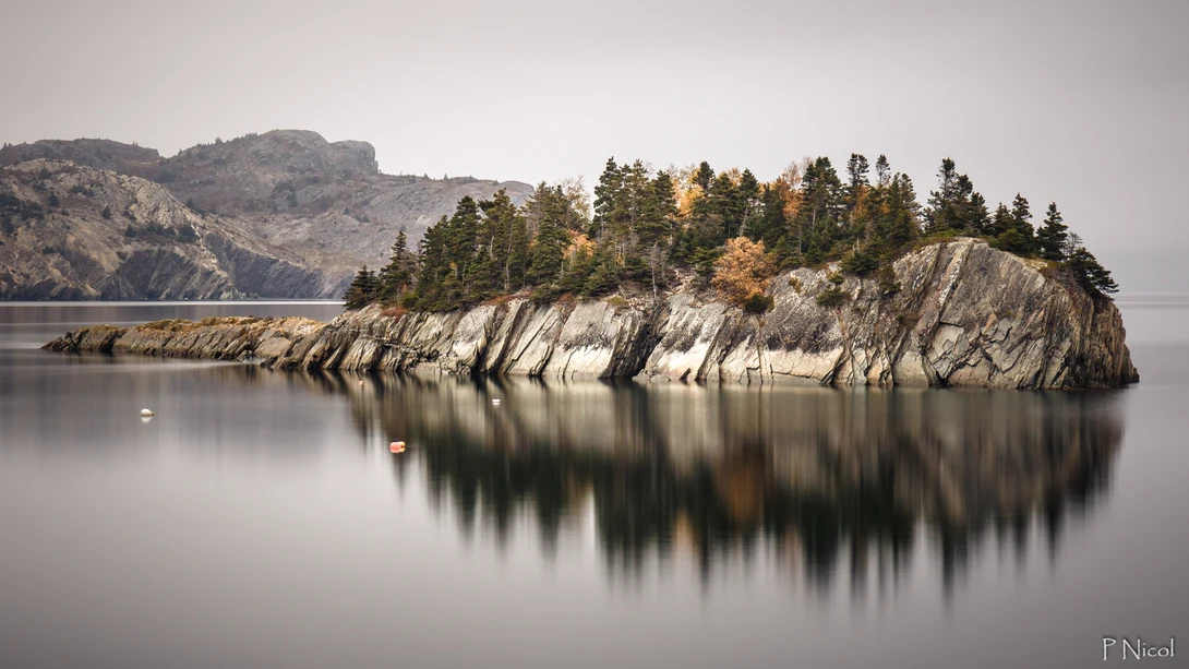 View Molly's Island by Paul Nicol