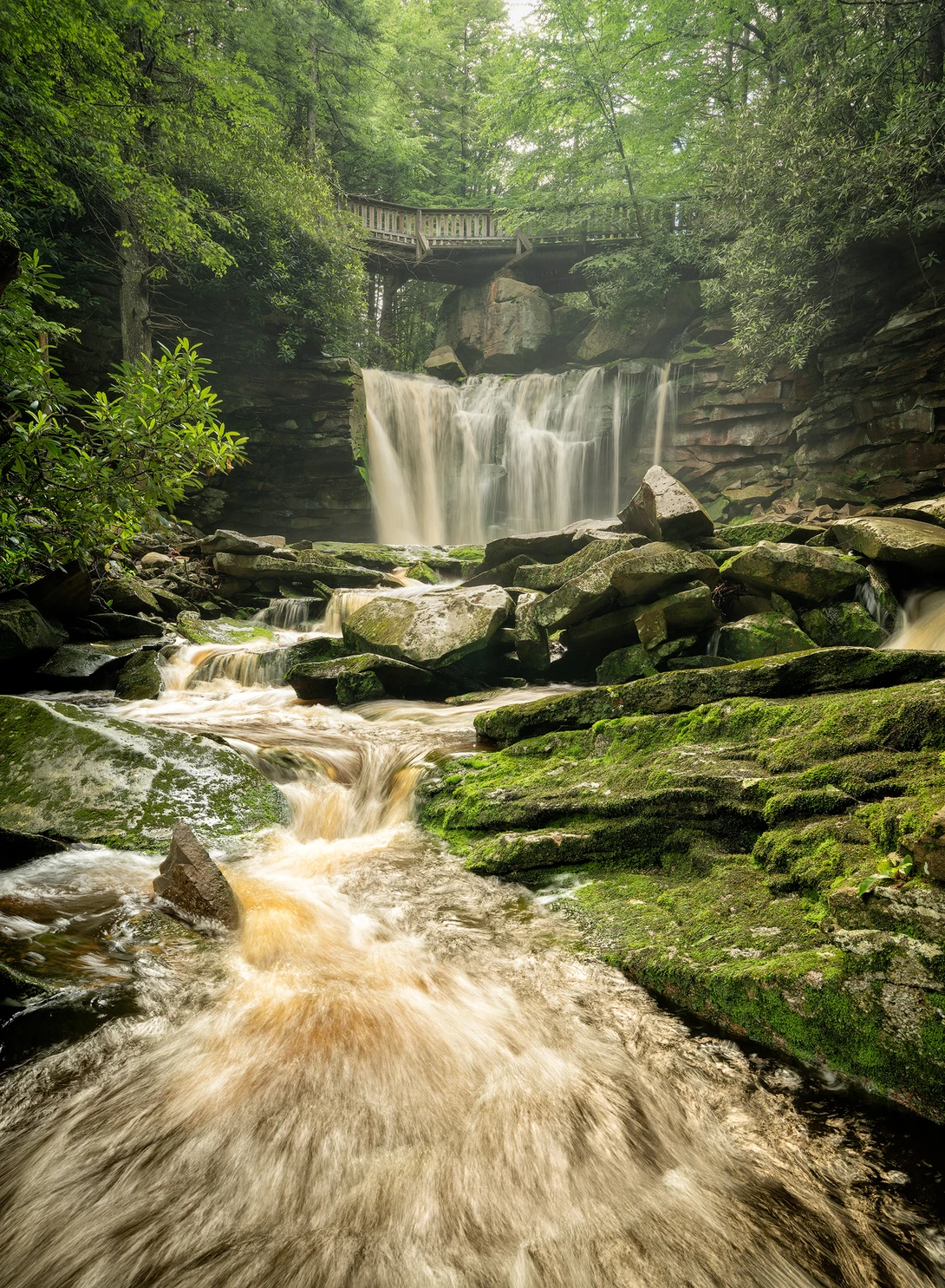 View Blackwater Deep In The Forest by Eric Yiskis