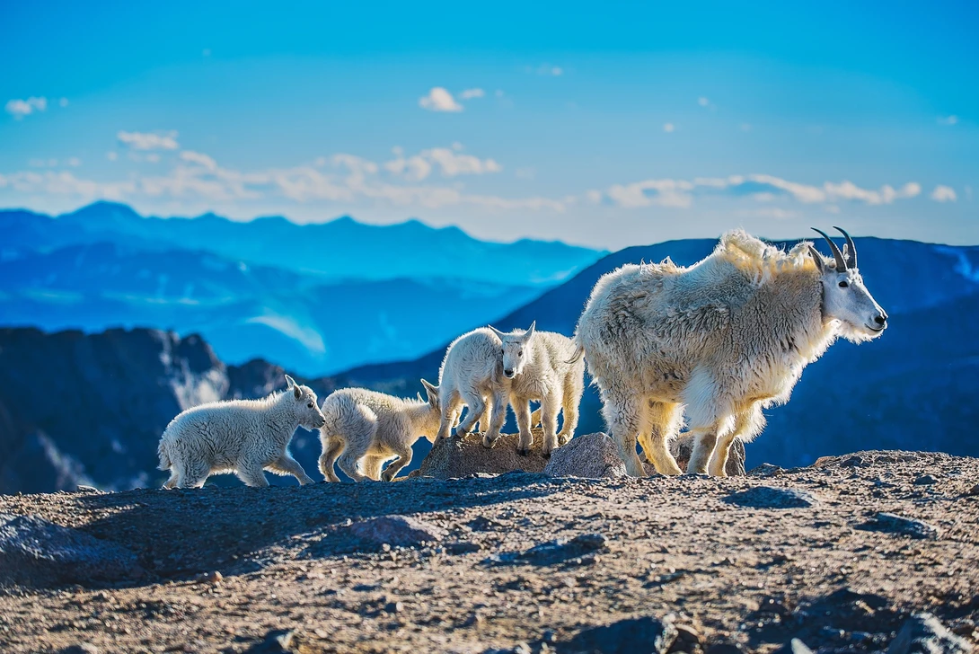 View c658b1a82fb1818e582e50965ee79e10.jpg by Niah Aldrich