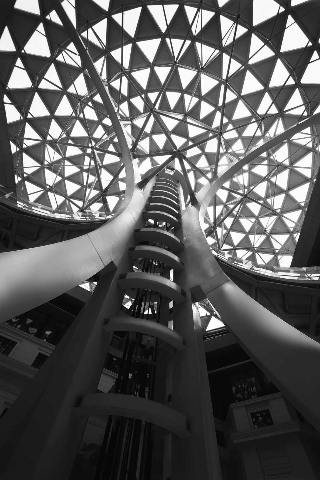View The Tree of Life by Marlon Malabuyoc