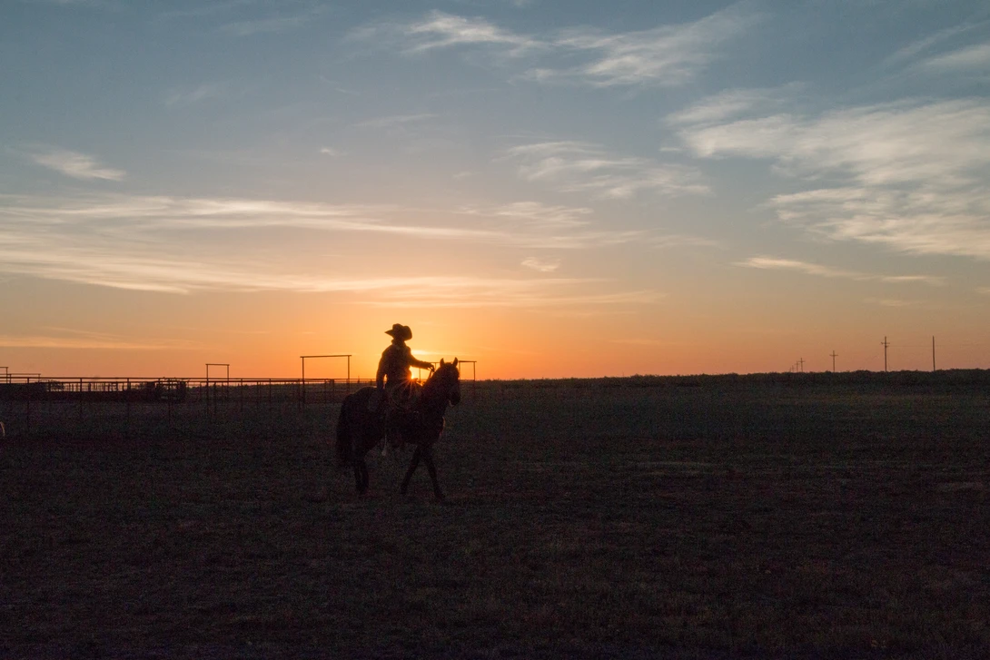 View Early Morning Start by Marcia Jolley