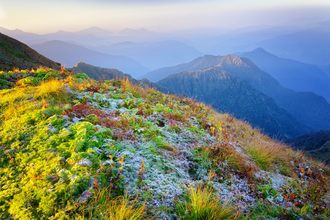 View Light frost at dawn by Surya G