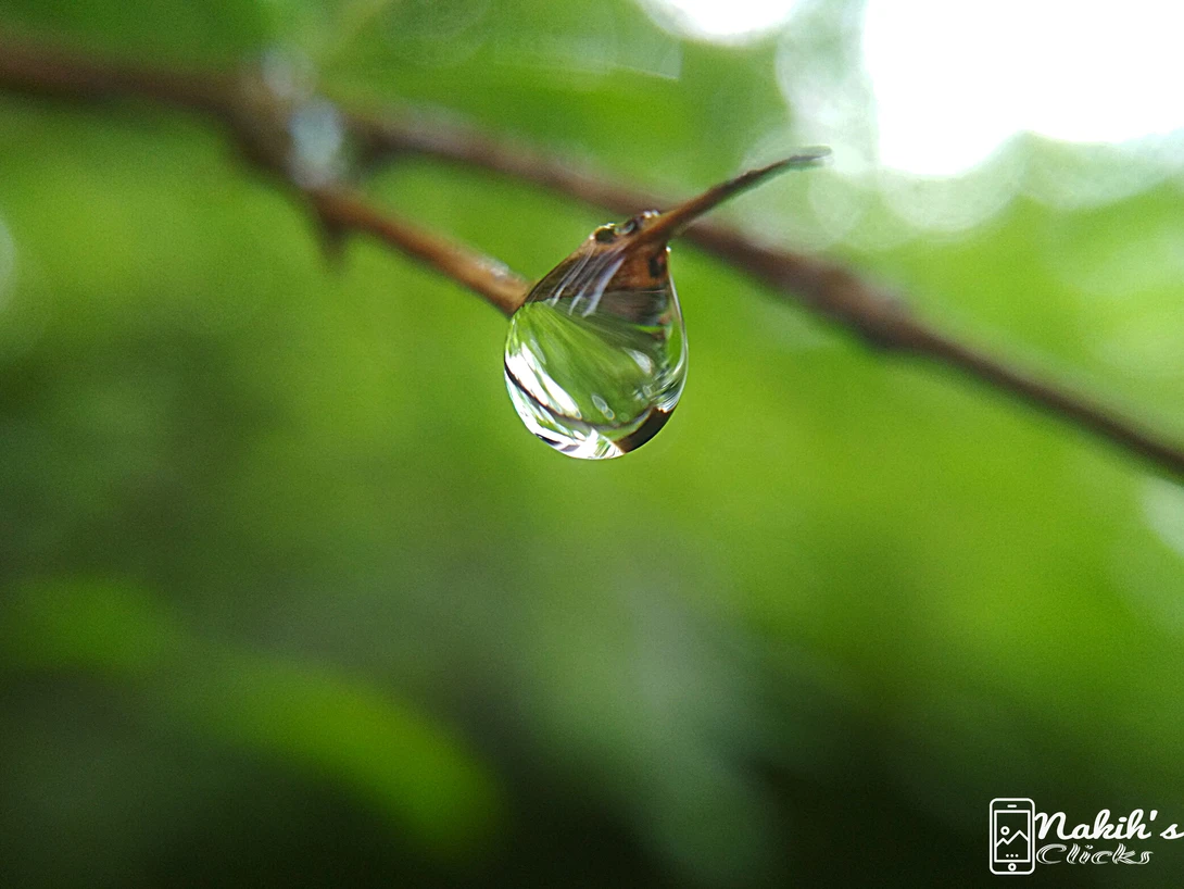 View Rain drop water by Saifullah Nakih