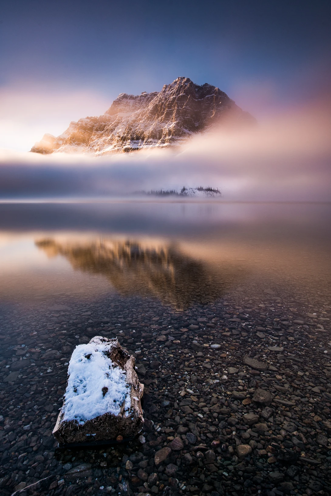 View Bow Lake by Erik McRitchie
