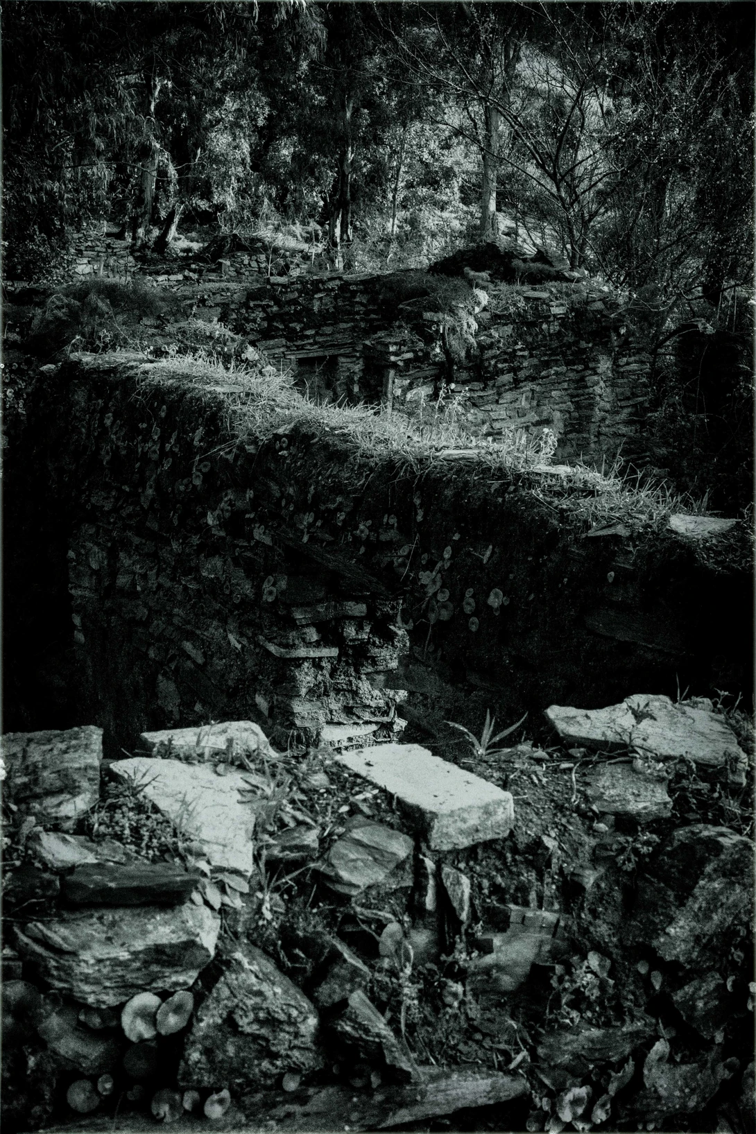 View civilization collapse by moncef santos