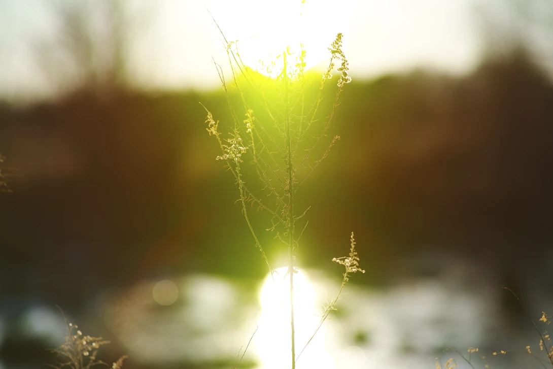 View shining thru by CHRIS STAGL