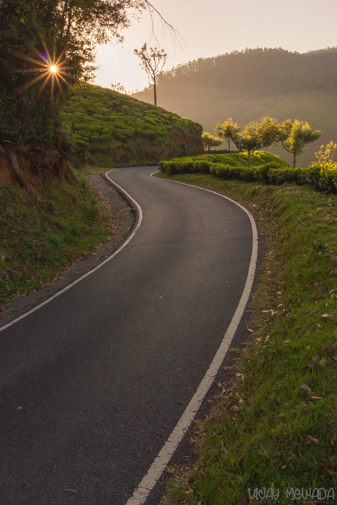 View TOWARDS LIGHT by Vijaykumar Mewada