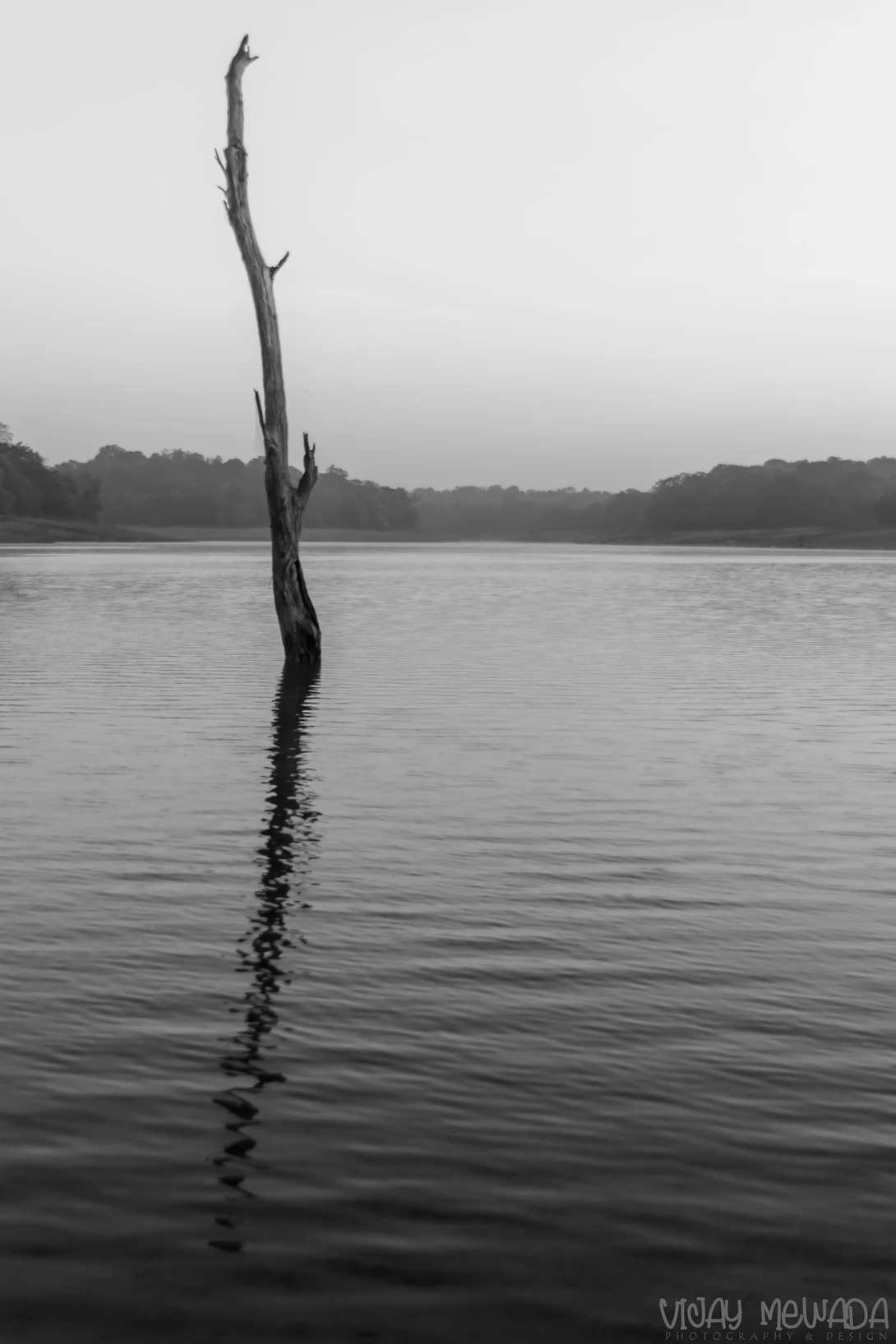 View 3b072b0a13d99e6233765920f59b0aff.jpg by Vijaykumar Mewada