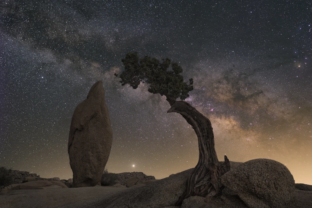 View Joshua Tree NP Monolith and Juniper by Ryan Luna