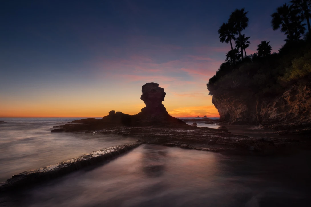 View Crescent Bay Sea Dog by Ryan Luna