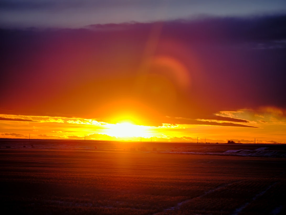 View a120832749262bdbf3d1343eebc88fae.jpg by Rhonald Rose