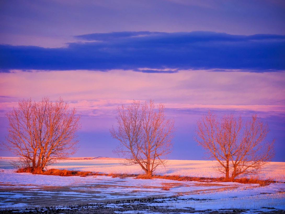 View abcf50ae51a3af26b8798376c9cc92cd.jpeg by Rhonald Rose