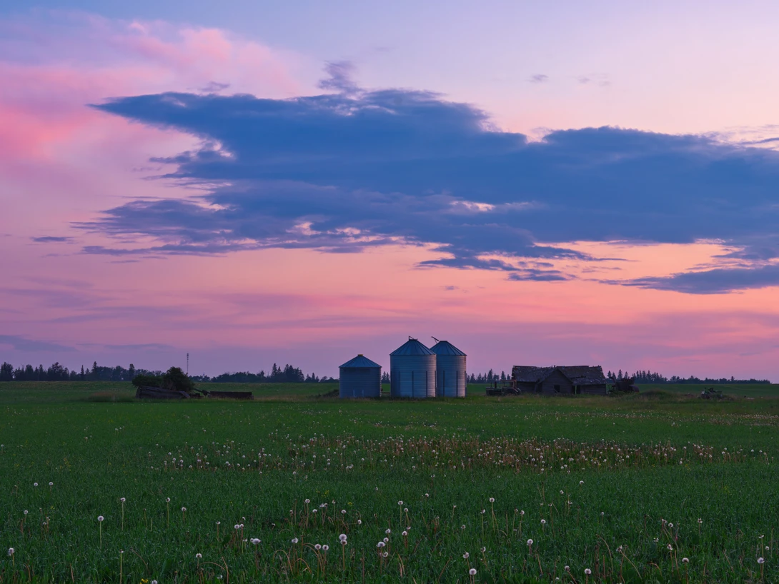 View Sunset in a farmland by Rhonald Rose