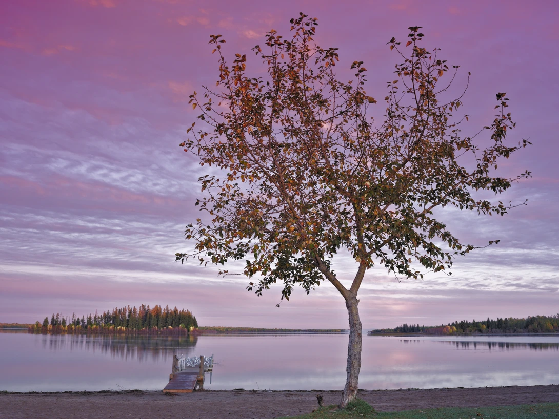 View 63ded9b0cae082ae49ee7b7711c1f094.jpg by Rhonald Rose