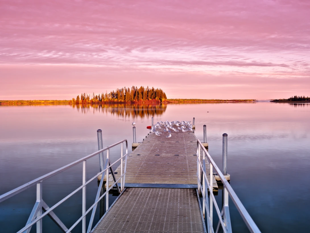 View f84e16ec747d8f0f461fa692fa0e02a8.jpg by Rhonald Rose