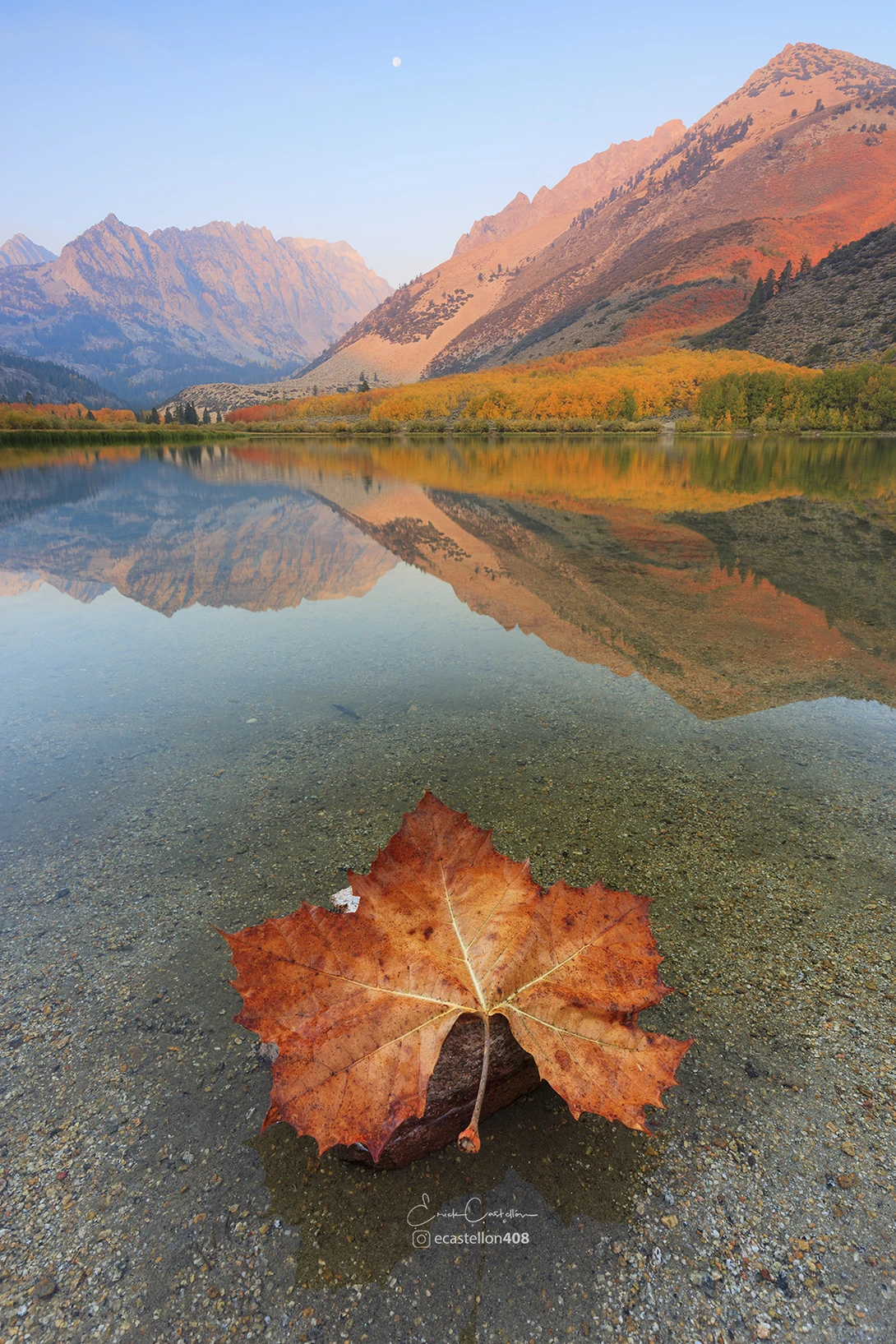 View Fall is here by Erick Castellon