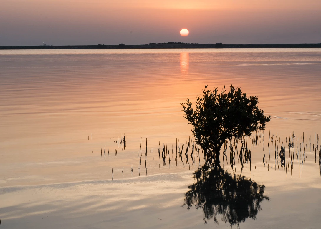 View Sunrise at Mirfa by Ron Cunningham
