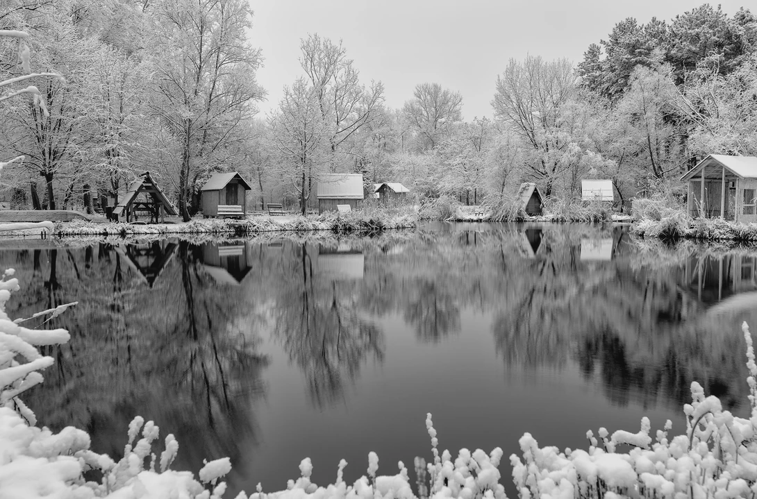 View Winter in B&W by Gabor Szarvas