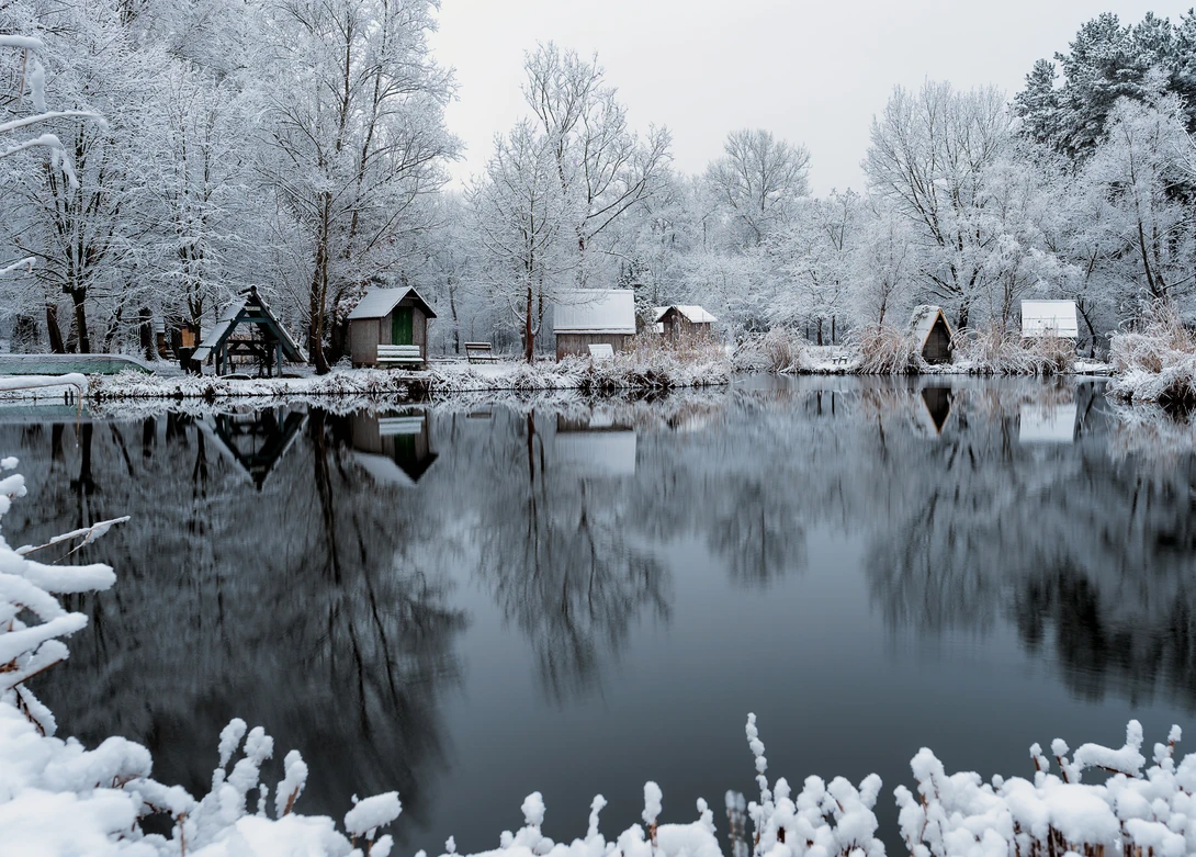 View dd58a5931361a0a7edaaea01f31cbdb3.jpg by Gabor Szarvas