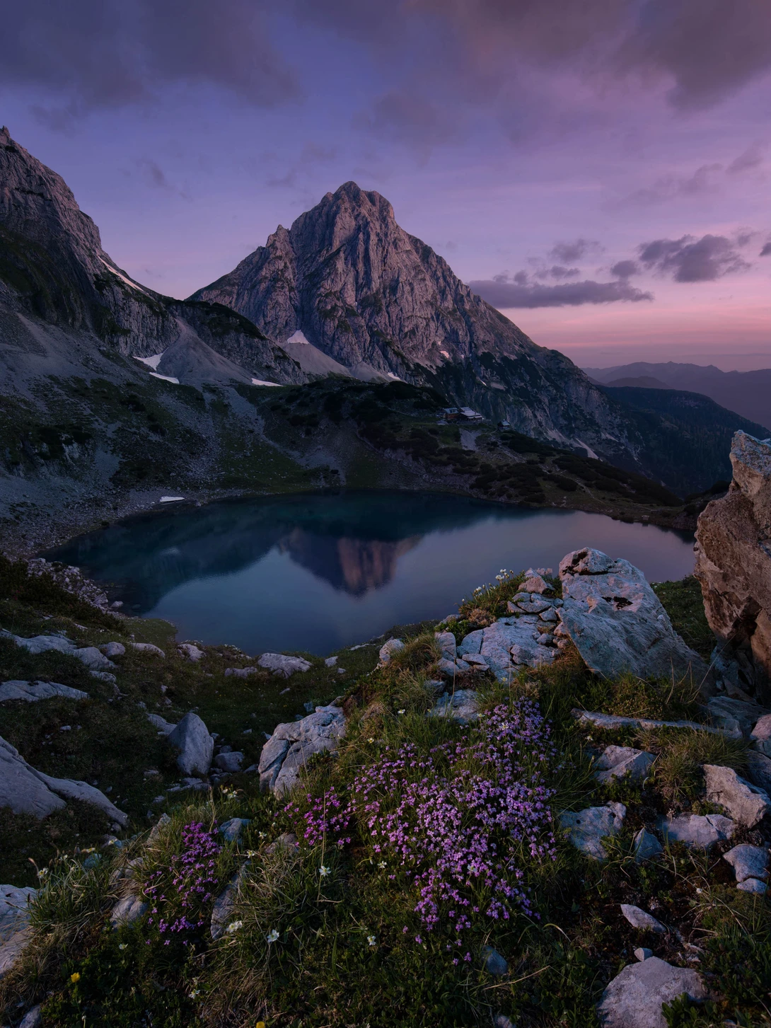 View Little Brother by Lukas Bornheim