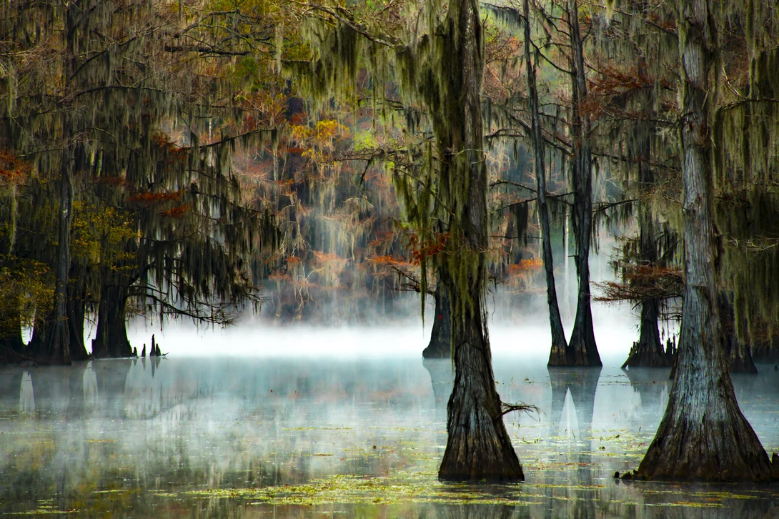 View Morning Mist by Kenneth Person