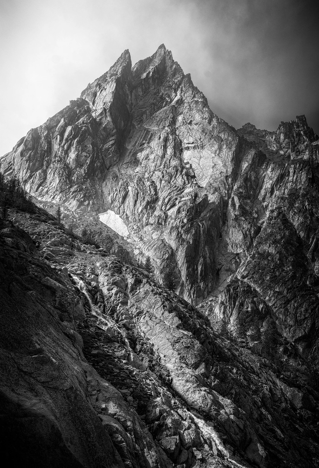 View Dragontail by TYLER YATES