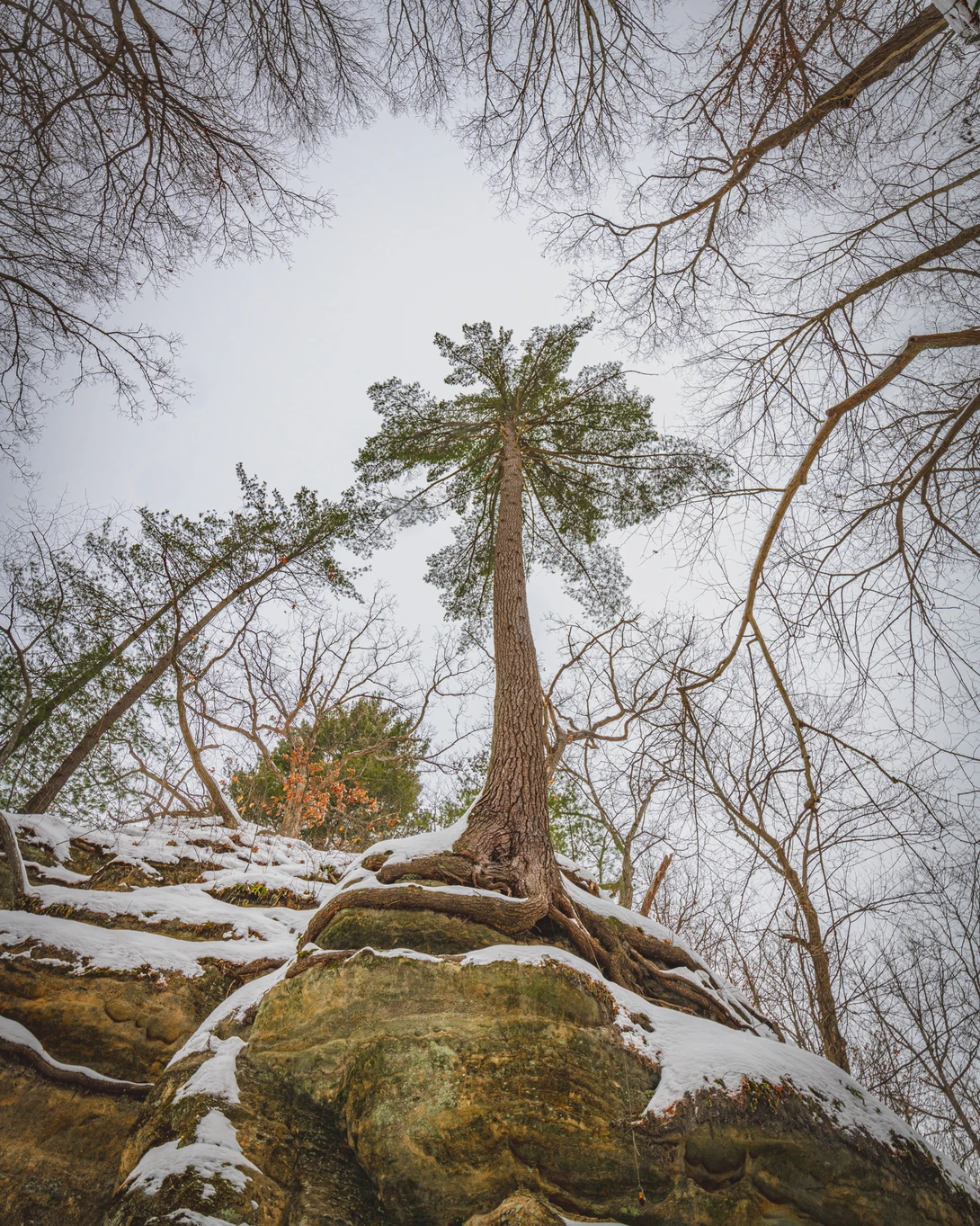 View Reaching by Thomas Tarner