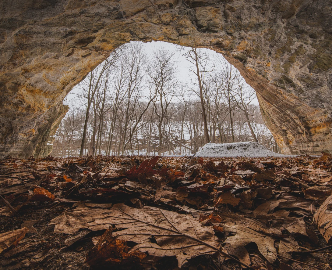 View Inside Looking Out by Thomas Tarner
