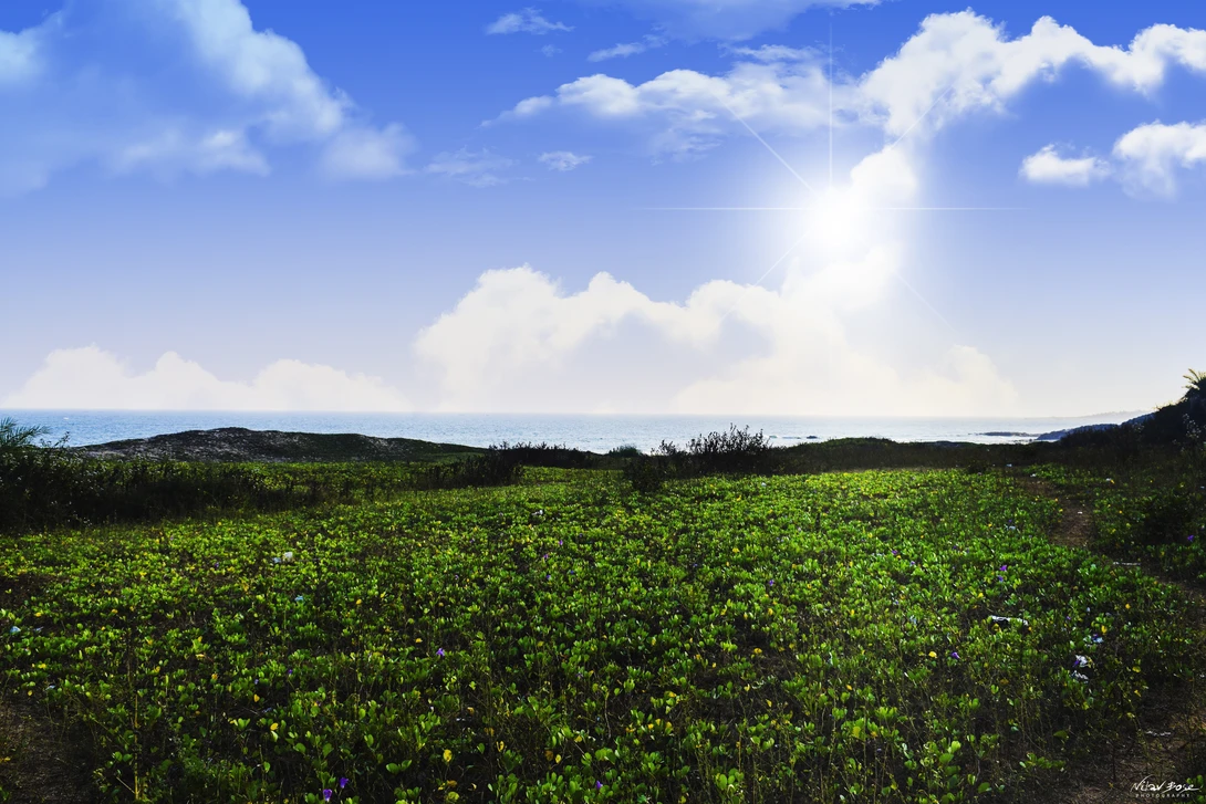 View INEXPLICABLE PULCHRITUDE by Nilav Bose
