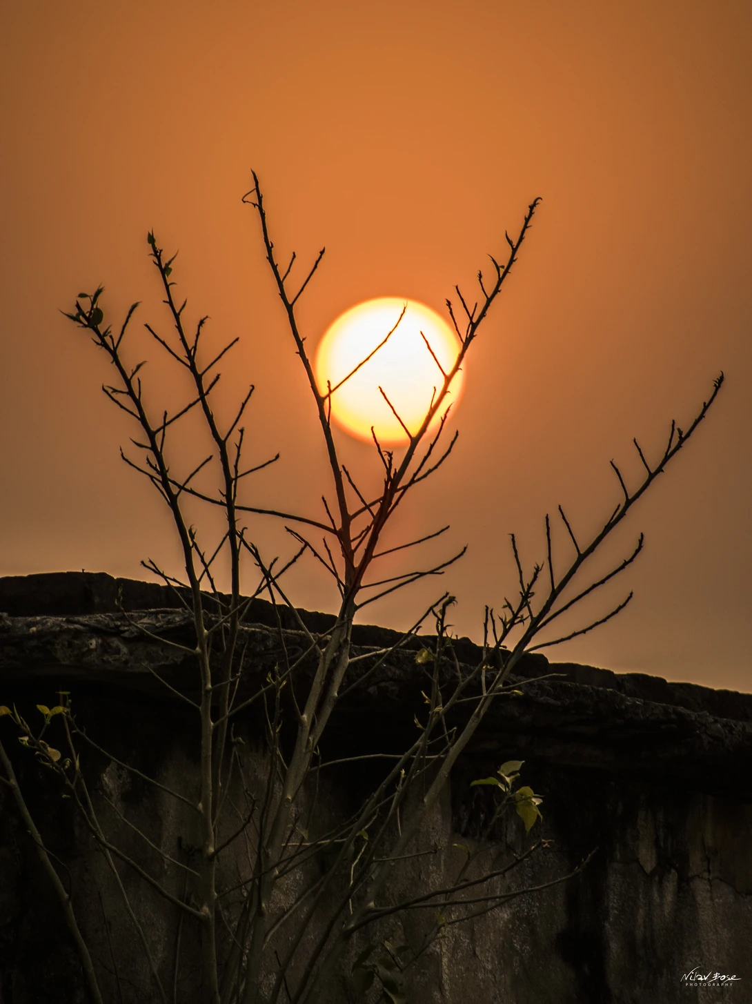 View I chose "SUNSET" by Nilav Bose