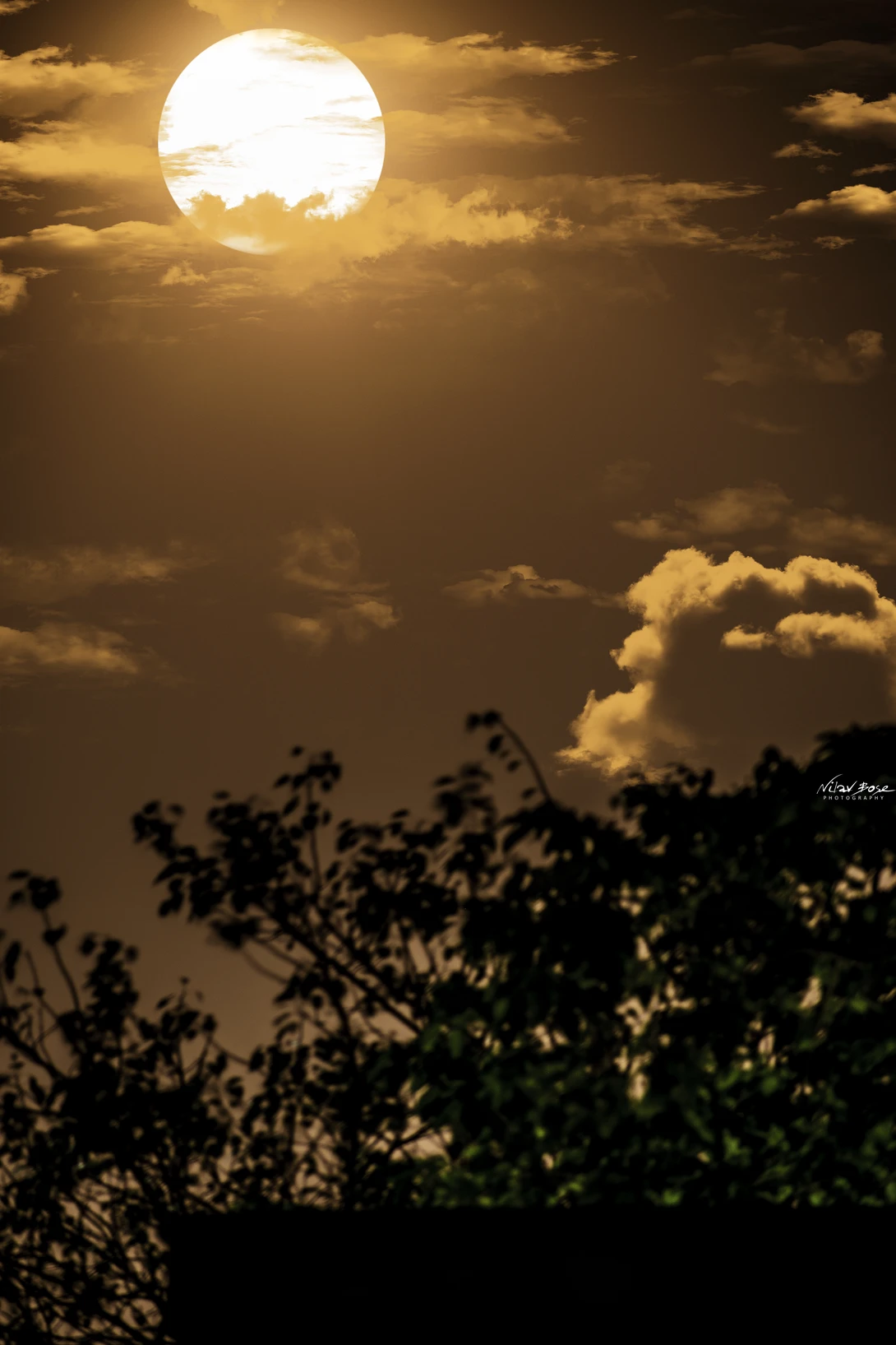 View The Lunatic by Nilav Bose