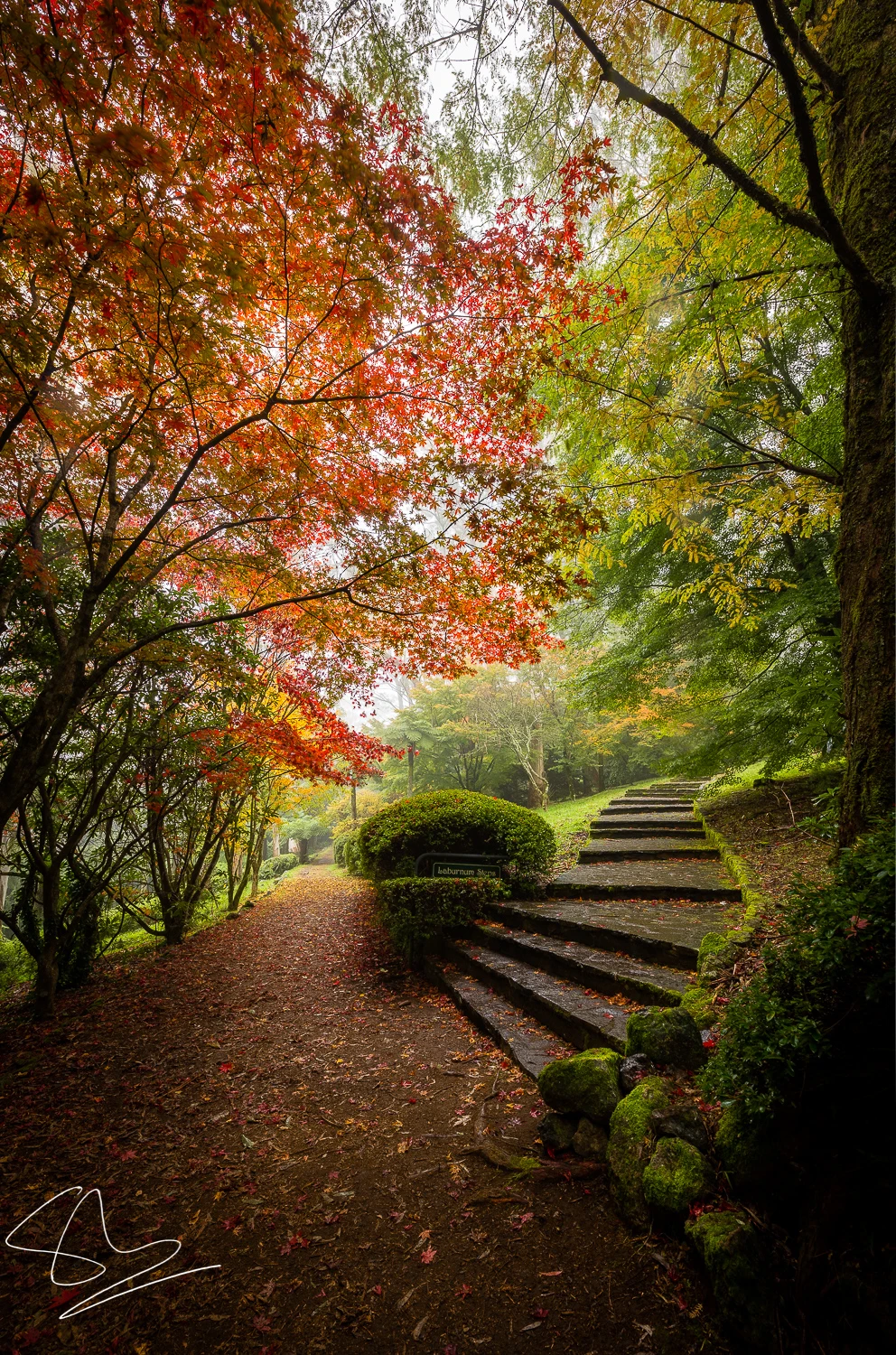View Serene autumn by sharath m
