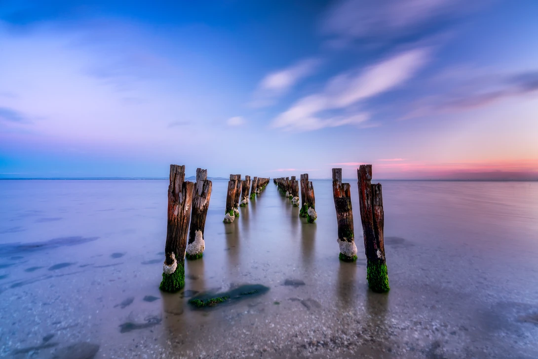 View Forgotten by Andrew Furlan