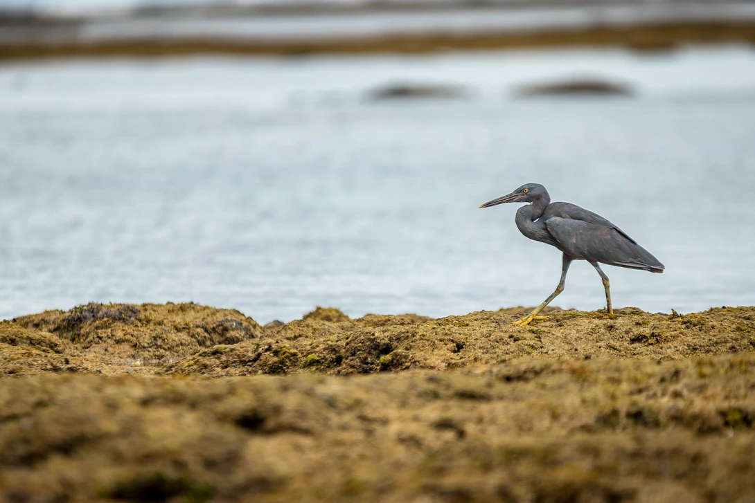 View 99462a841ac69fb6b84f941c0cd8cd9c.jpg by Mohamad Alif
