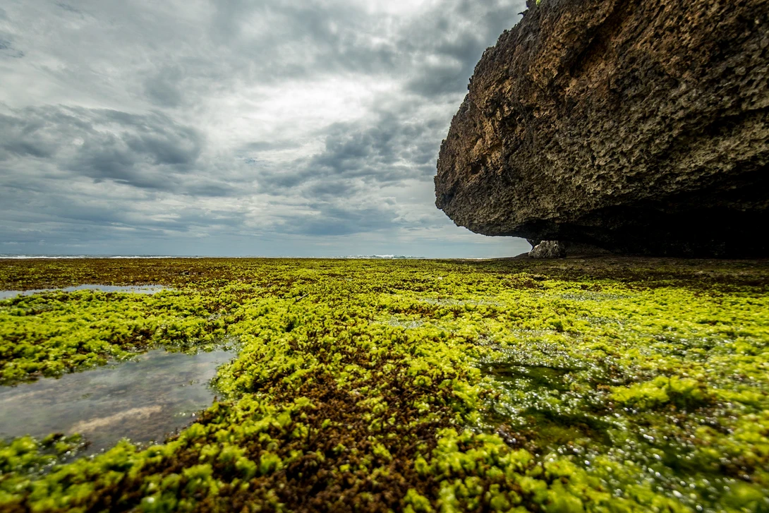View fc0c606d2d53704a542a22350047ef3e.jpg by Mohamad Alif