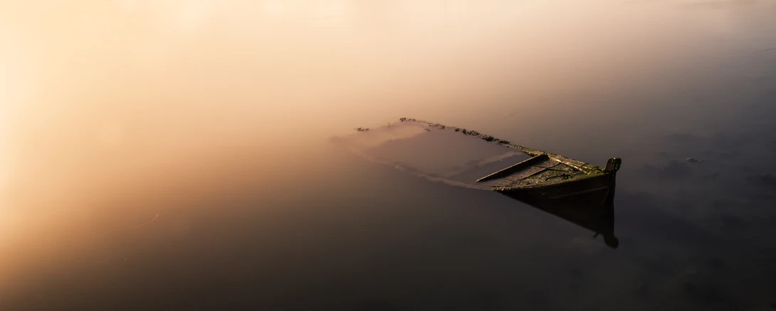 View Warm Feelings by Daniel Boavida