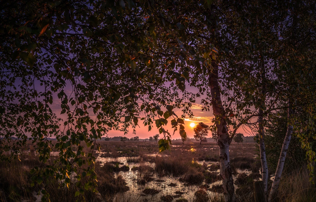 View Wierdense Veld by Martijn van Steenbergen