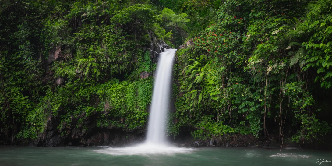 View Hidden Waterfall in Bali by Daniel John