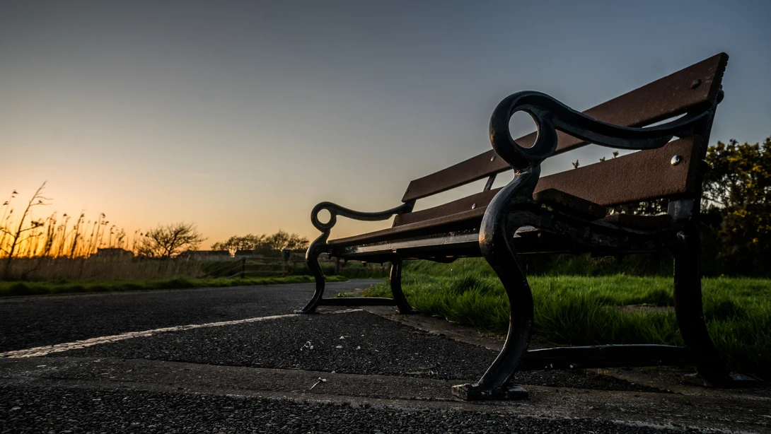 View Tralee Bay Wetlands Bench by James Maher