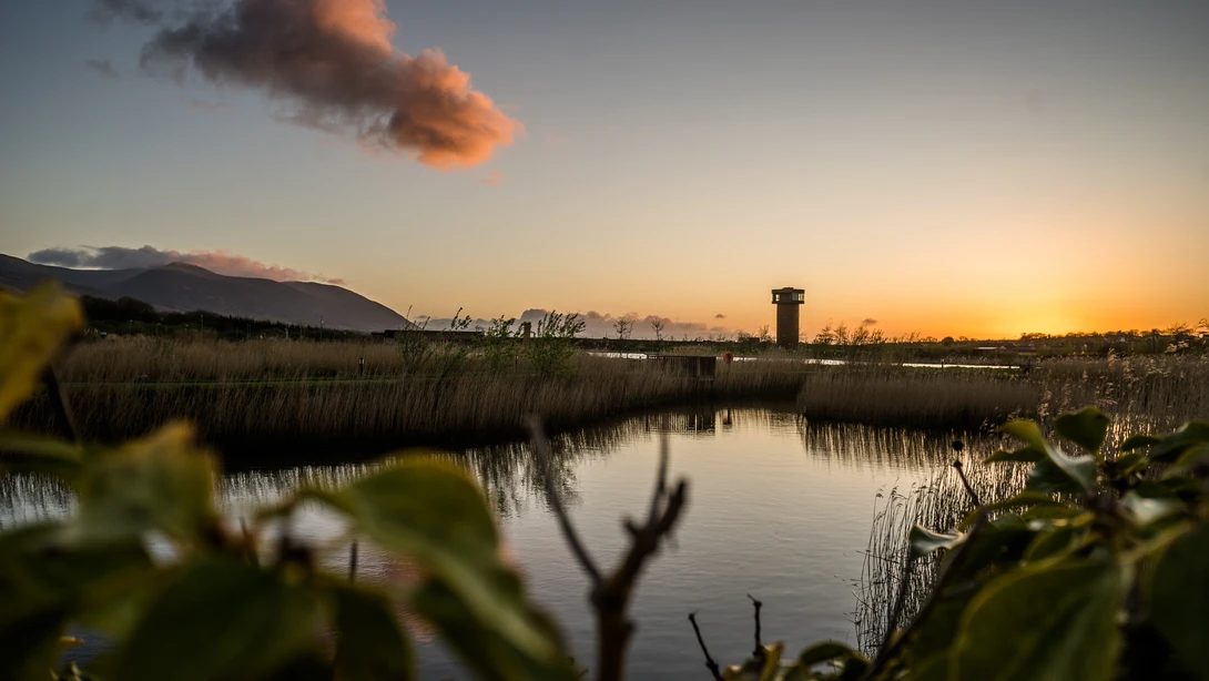 View Tralee Bay Wetlands by James Maher
