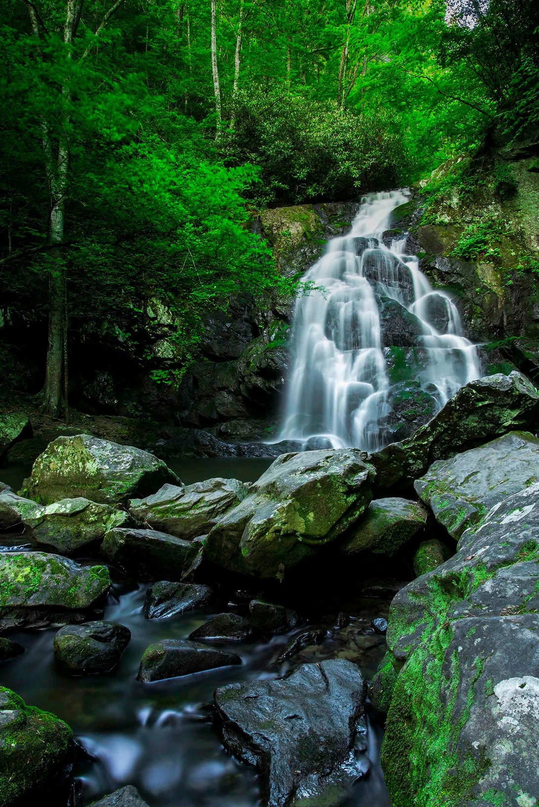 View Spruce Flats Falls by Ben Cash