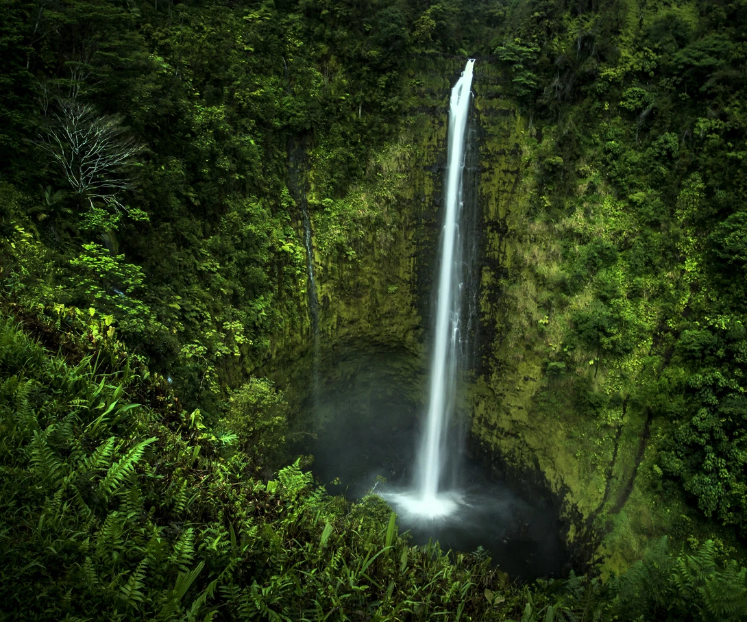 View Akaka Falls by Ben Cash