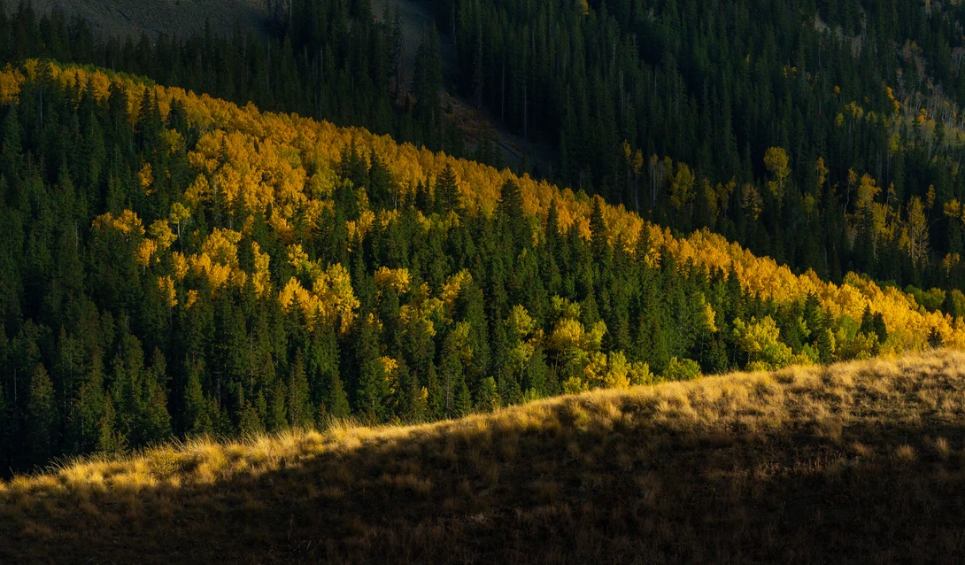 View Light geometry by Jose A Feliciano