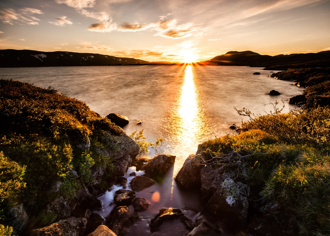 View 8bb6d3add5086a9c083346f21b7f4d66.jpg by Andreas Frössberg