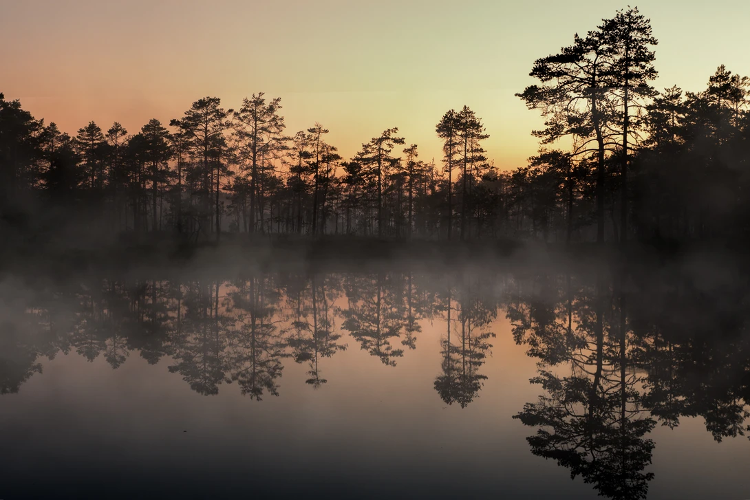 View Sunrise at Knuthöjdsmossen by Johan Lennartsson