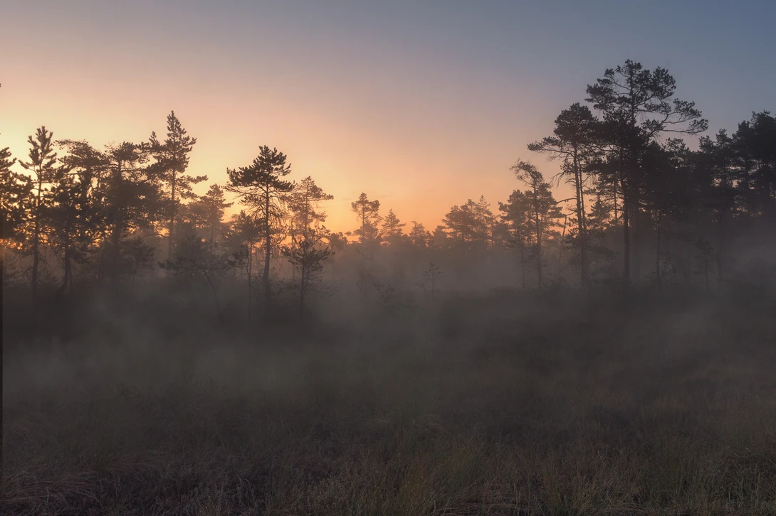 View 1a1e5626980bfe591f83028c198d2136.jpg by Johan Lennartsson