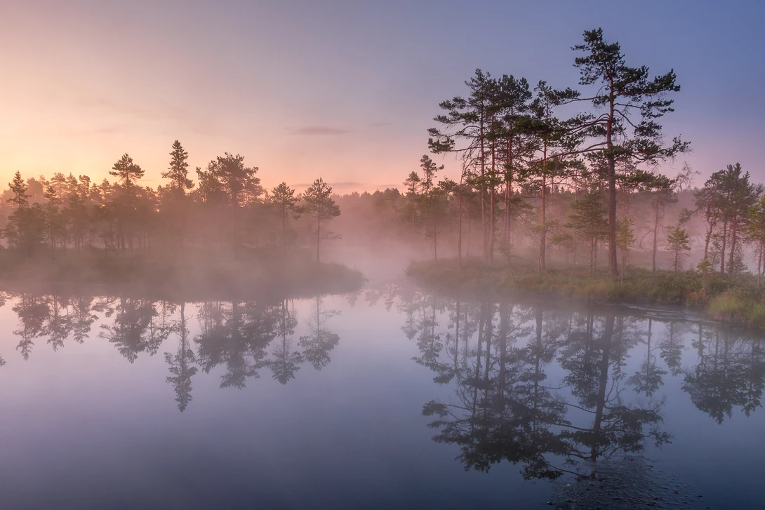 View Untitled 2 by Johan Lennartsson