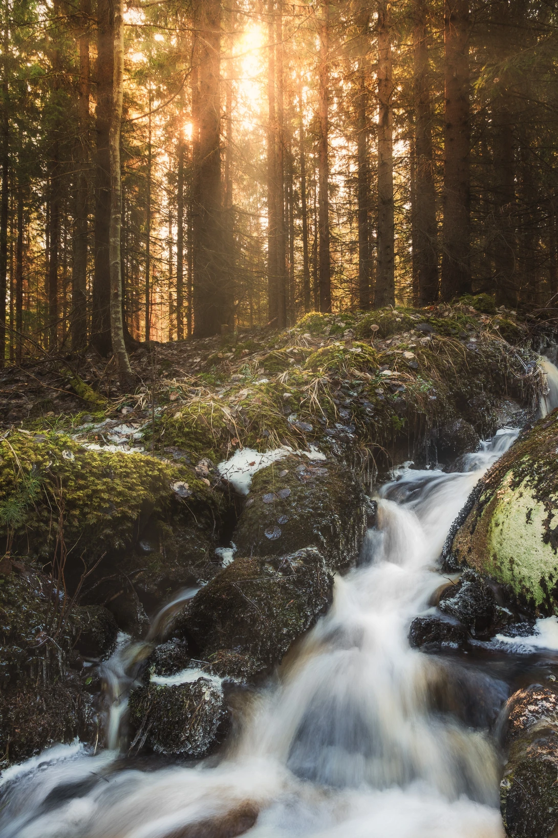 View Spring by Johan Lennartsson