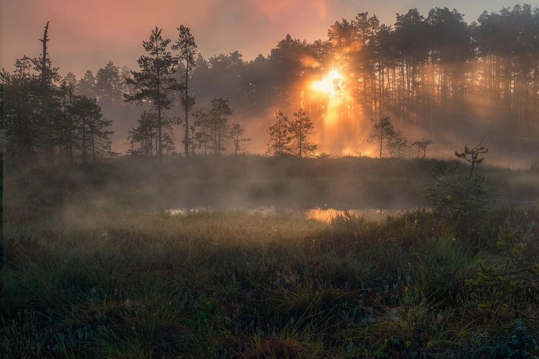 View Morning Light by Johan Lennartsson